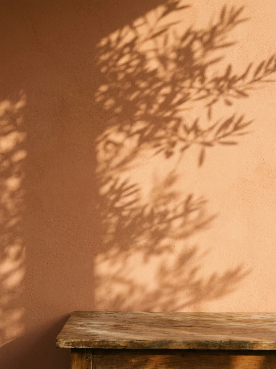 Plaster wall with plant shadows